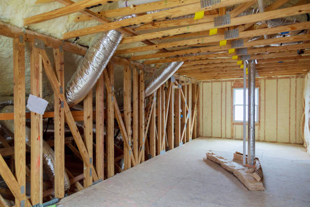 Best Eco-Friendly Insulation in Leesburg, FL