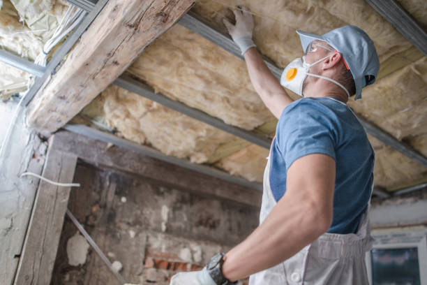 Best Geographic-Specific Insulation Services in Leesburg, FL