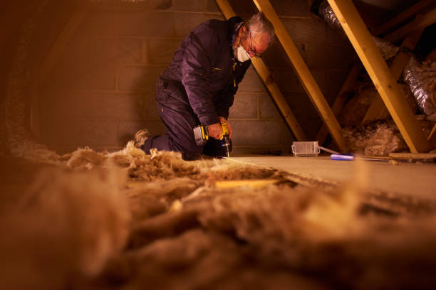 Best DIY Insulation Kits and Guidance in Leesburg, FL